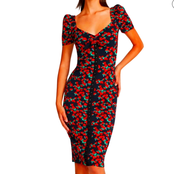 Betsey Johnson Dresses & Skirts - NWT Betsey Johnson Strawberry Fields Dress NEW